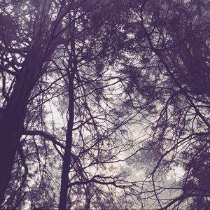 Meet your Posher, Maya